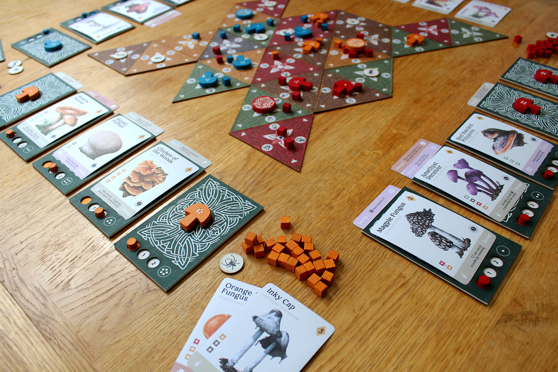 Mycelia the board game on the table