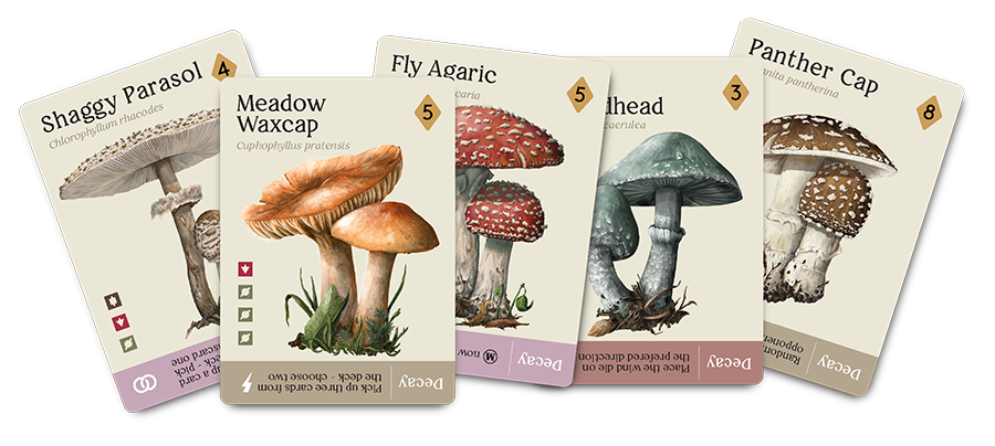 Mycelia cards